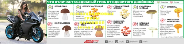 jwh Медвежьегорск