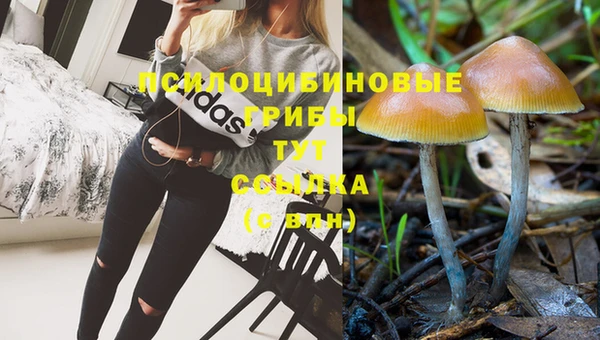 каннабис Медногорск