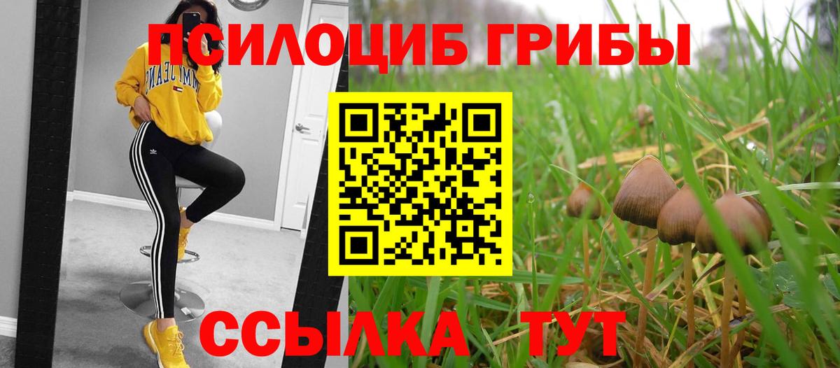 Псилоцибиновые грибы Psilocybe  Вход с VPN  Псилоцибиновые грибы Cubensis  купить закладку  Брянск 