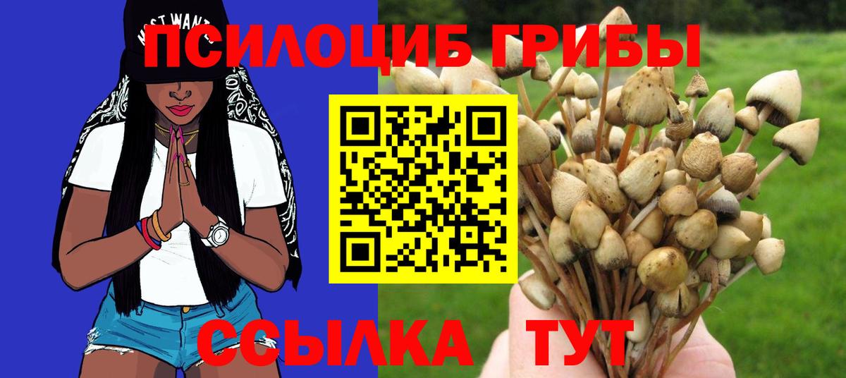 Псилоцибиновые грибы Magic Shrooms  Брянск  Псилоцибиновые грибы Psilocybe 